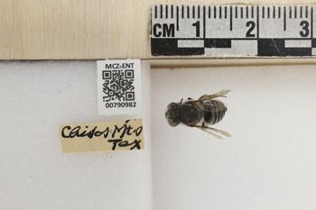 Media type: image;   Entomology 790982 Aspect: Labels